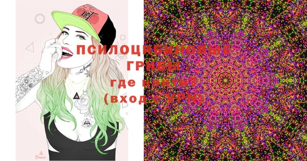 spice Вязники