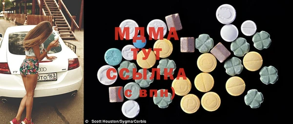 гидра Вязьма