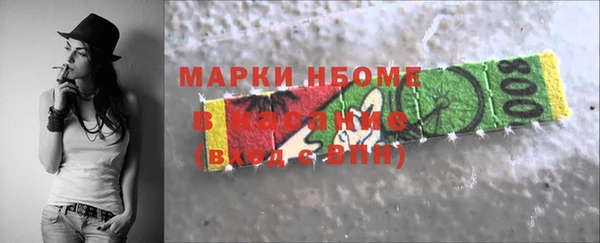 гидра Вязьма