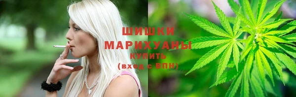 гидра Вязьма