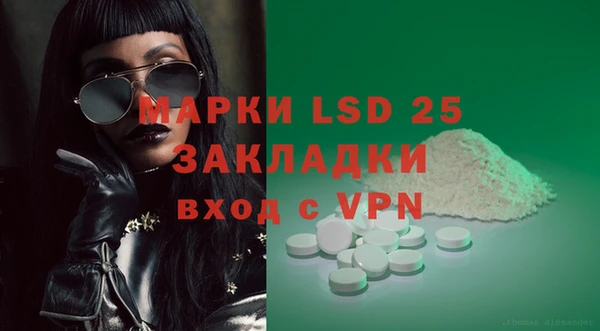 гидра Вязьма