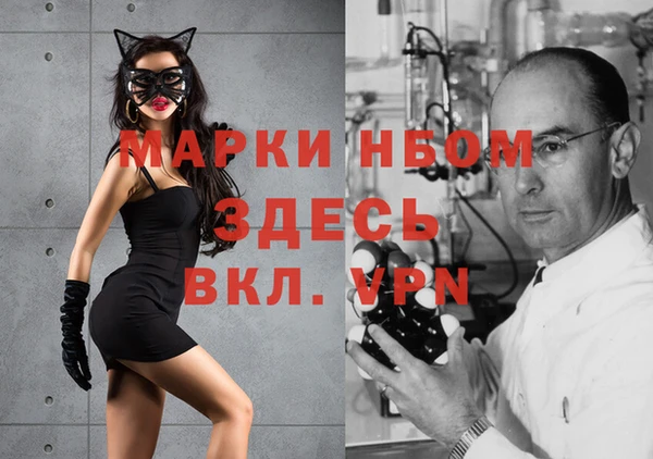 гидра Вязьма