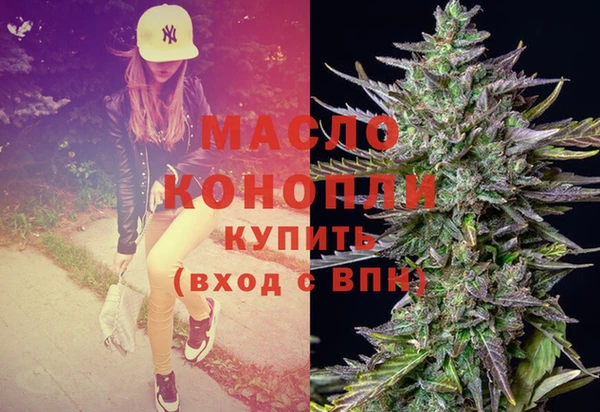 гидра Вязьма