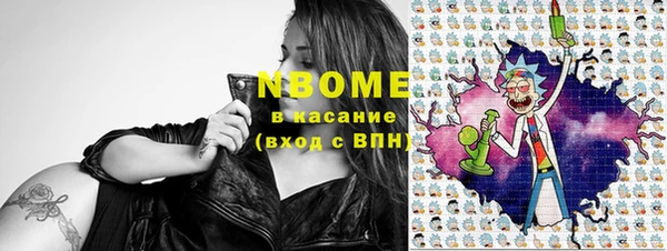 гидра Вязьма