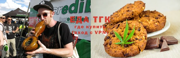 гидра Вязьма