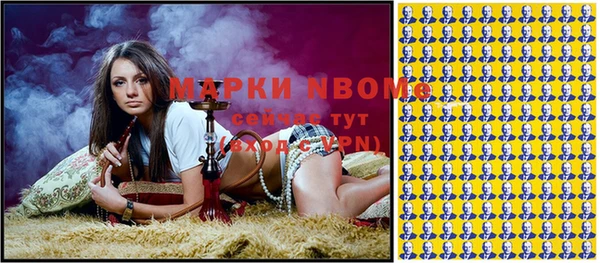 гидра Вязьма