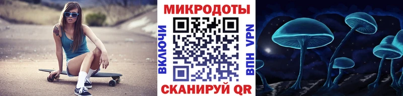 Галлюциногенные грибы Psilocybine cubensis  Западная Двина 
